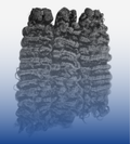 Raw Burmese Curly Human Hair Single Bundles